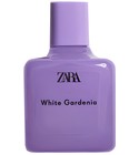 White Gardenia Zara