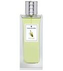 parfém Vetiver