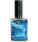 Angels In Heaven Samy Andraus Fragrances