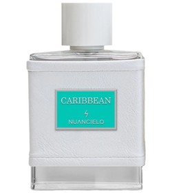 Italian Soul Nuancielo perfume - a novo fragrância Compartilhável 2024