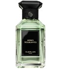 Embruns d'Ylang Guerlain perfume - a fragrance for