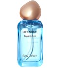 Dream in Santorini Greece The SAEM
