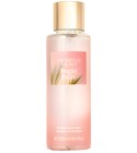Bright Palm Victoria's Secret