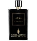 Born From Fire Simone Andreoli