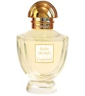 parfém Belle de Nuit Eau de Parfum