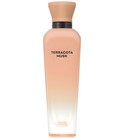 Terracota Musk Adolfo Dominguez