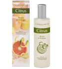 parfém Citrus