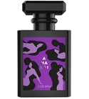 Co Co Violet Amarsi Fragrances
