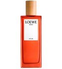 LOEWE 7 COBAIT 香水 50ML LOEWE 7 Cobalt 50ml | LOEWE Perfumes