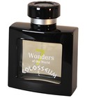 7 Wonders of the World Colosseum Eclectic Collections