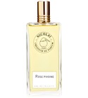 parfém Rose Pivoine