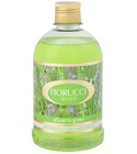 Splash Alfazema Green Fiorucci