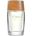 Cereus No. 6 Cereus