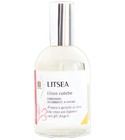 Litsea Olfattiva