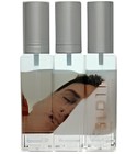 7 Sinful Scents Sloth Gendarme