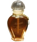 parfém Vison Sauvage Parfum