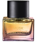 Musk Complexity New Notes