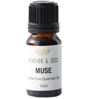 Muse Sensor I Am