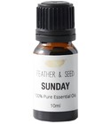 Sunday Sensor I Am