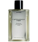 Captivatingly Paris Zara