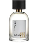 EARTH (곤) ELOREA | 향수