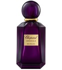 Iris Malika Chopard
