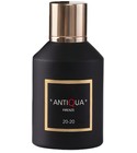 20-20 Antiqua Firenze