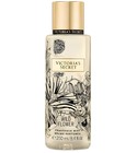 Wild Flower Victoria's Secret