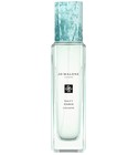 parfém Salty Amber Cologne