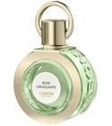 parfém Rose Croquante