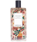 parfém Dolce Amalfi