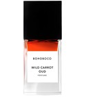 Wild Carrot Oud Bohoboco