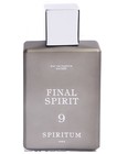 9 Final Spirit Spiritum