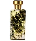 Patchouli Al-Jazeera Perfumes
