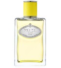 Infusion d'Ylang Prada