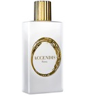 Sera Accendis