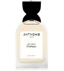 parfém Bois Blanc Pudique