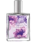 parfém L'Essence de France Fleur de Provence