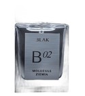 Molecule Ziemia B 02 BLAK