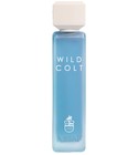 Wild Colt Assaf