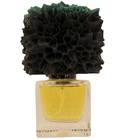 New Valaam Phronema Perfumes