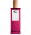 Earth Loewe
