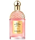 parfém Aqua Allegoria Forte Rosa Rossa