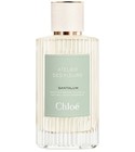 Santalum Chloé
