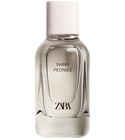 Shiny Peonies Zara