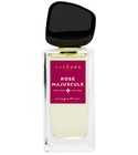Rose Majuscule Ausmane Paris