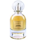 Ambre Malaika Ausmane Paris