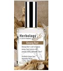 parfém Ginseng Root