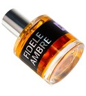JD Fidele Ambre JD Jeffrey Dame