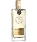 Bois Bélize Intense Nicolai Parfumeur Createur perfumy - to